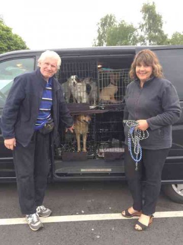 Carole and Richard, with Hetty, Patch, Sandy, Bubbles, Squeak and Tinker, on their move from Coín in S.Spain to Blackpool, UK. 
